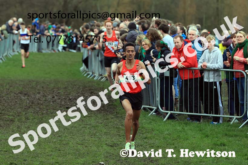 Senior Boys 2024 English Schools Cross Country Champs., Pontefract, March 16th.  Photo: David T. Hewitson/Sports for All Pics